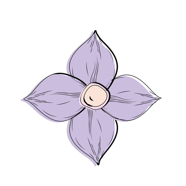 fiore di bellezza con petali a disegno decorativo vettoriale illustrazione
 - Vettoriali, immagini