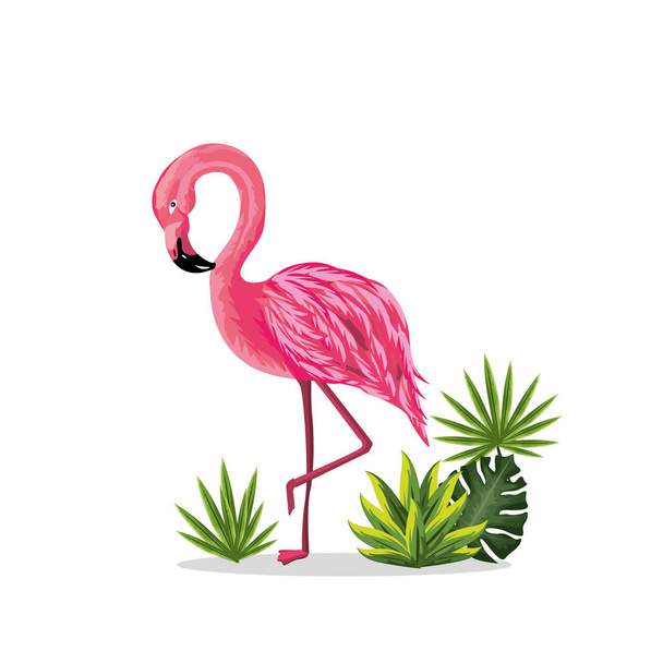 beauty and cute flowers plants with flamingo background, vector illustration - Vektori, kuva