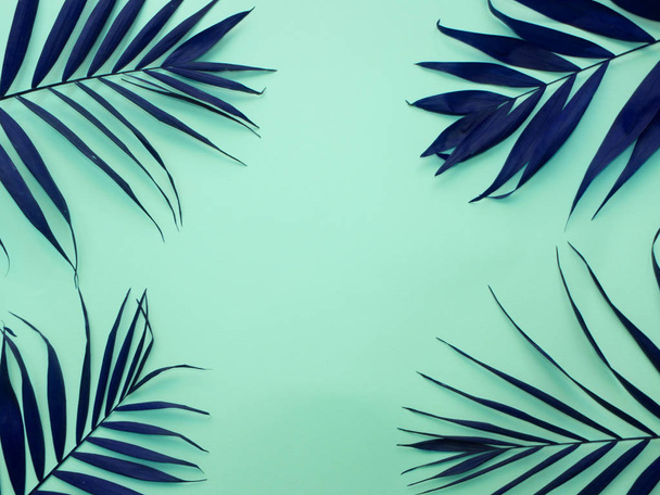 Foglie di palma blu scuro su sfondo blu
 - Foto, immagini
