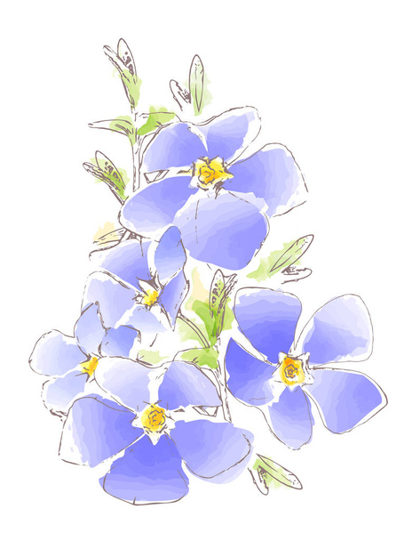 Ακουαρέλα εικόνα μπλε λουλούδια, διάνυσμα - Διάνυσμα, εικόνα