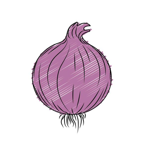 fresh onion natural vegetable nutrition vector illustration - Vektor, obrázek