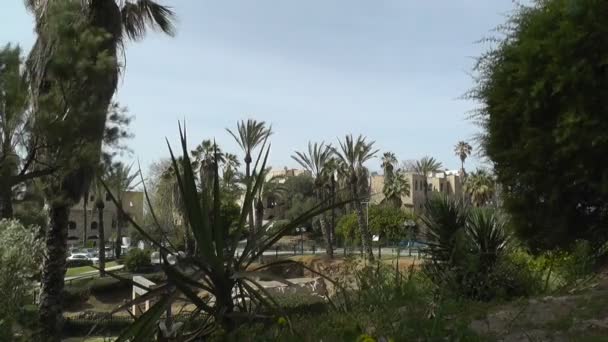 pohled z tel Avivu z Jaffy - Záběry, video
