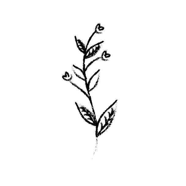 rustikaler Zweig mit Blättern und Blüten Vektor Illustration - Vektor, Bild