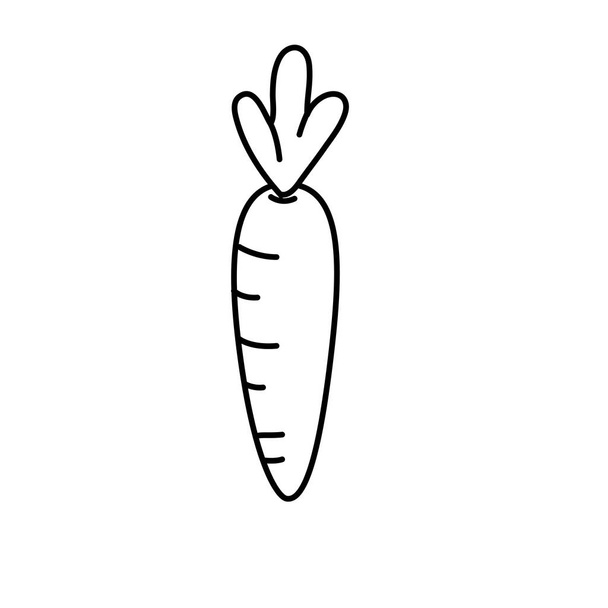 linea sana carota al cibo vegan e illustrazione vettoriale biologica
 - Vettoriali, immagini