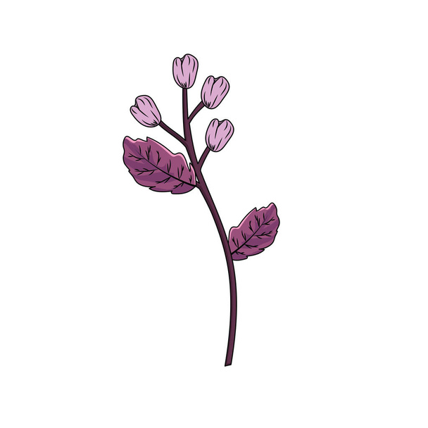 beauty herb plant with organic ingredients vector illustration - Vetor, Imagem