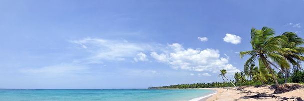 熱帯のビーチのパノラマ - 写真・画像
