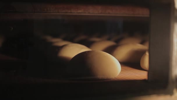 The bread on the conveyor oven. - Felvétel, videó