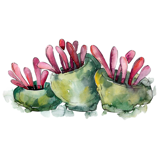 Πράσινο κόκκινο υδρόβια υποβρύχια φύση κοραλλιογενή ύφαλο. Σετ ακουαρέλας φόντο. Απομονωμένη κοραλλιογενείς εικονογράφηση στοιχείο. - Φωτογραφία, εικόνα