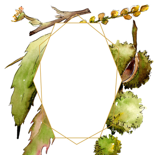 Sweet chestnut leaves and fruit. Watercolor background illustration set. Frame border ornament square. - Foto, imagen