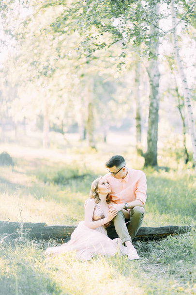 Beautiful couple in the forest at sunset in the style of fine art. Photo shoot in nature with the sun. - Zdjęcie, obraz