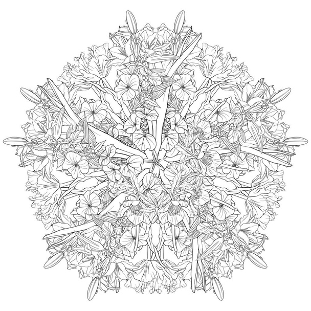 vector drawing flower of lily - Vektör, Görsel