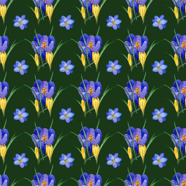 Seamless floral pattern of Crocus flowers and herbs in watercolor style. Perfect background for fabric, wrapping paper, packaging, etc. - Illustration - Foto, Imagen