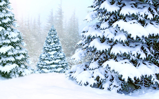Прекрасний зимовий ліс. Ялинки покриті білим снігом в дереві. Ялинки вкриті снігом. Ялинка в снігу в зимовому лісі. Прекрасне дерево, покрите снігом у лісі
 - Фото, зображення