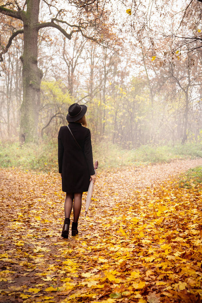 Woman in a black coat and hat in foggy weather - Foto, imagen