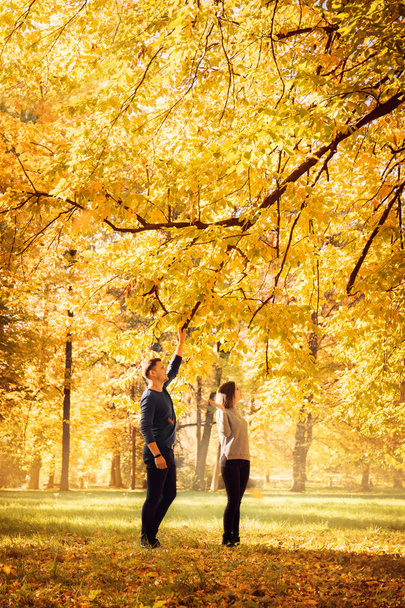 秋の公園で歩いて美しいカップル - 写真・画像