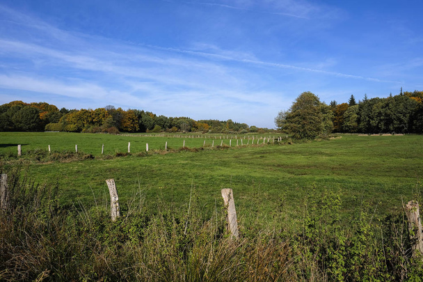 Agricultura ecológica en otoño - pastos naturales en Schleswig-Holstein - Alemania
 - Foto, Imagen