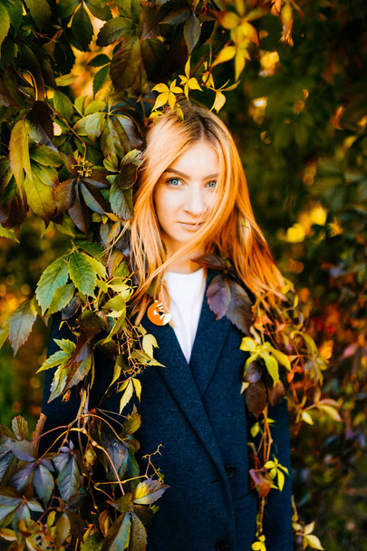 young beautiful woman with red hair in autumn botanical garden with leaves around - Foto, Bild