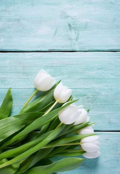 white tulips on turquoise surface - Foto, imagen