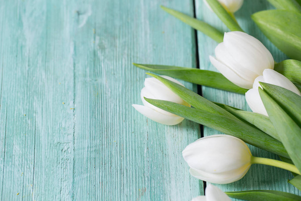 white tulips on turquoise surface - 写真・画像