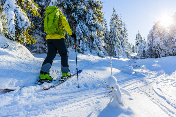 Лижі в горах Бескиди. Кемерінг людини, беккантрі лижі в свіжий порошок снігу. - Фото, зображення