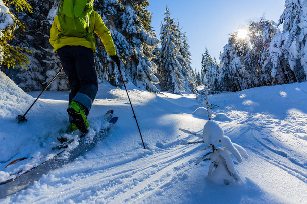 Skifahren in den Bergen. der Skitourengeher, Backcountry-Skifahren im frischen Pulverschnee. - Foto, Bild