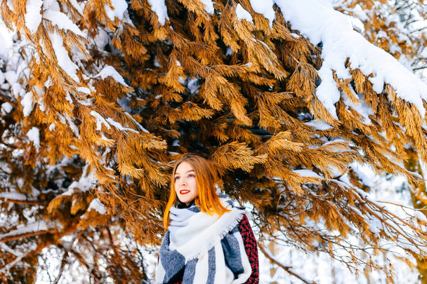 schöne Frau mit roten Haaren im Winter verschneiten Wald - Foto, Bild