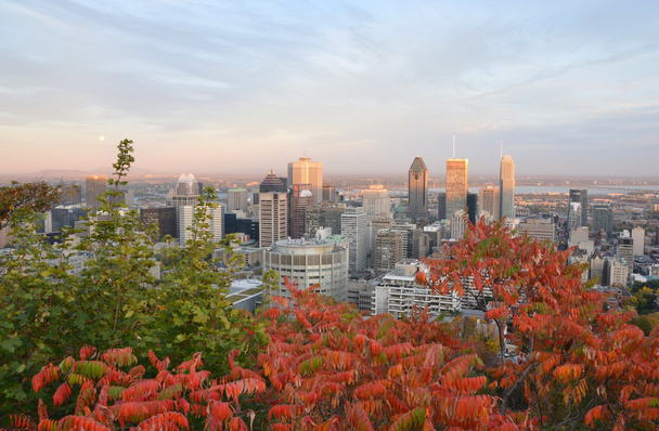 Montreal Downtown - Photo, Image