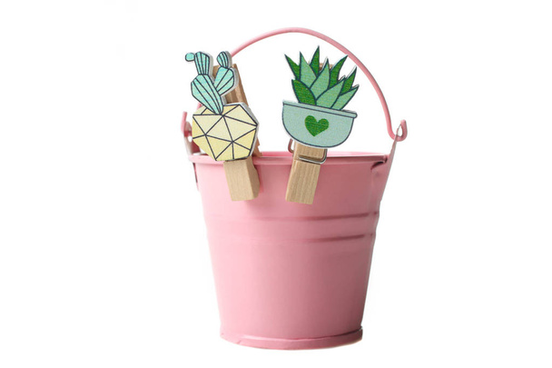 Pink flower pot and cute kawaii clothespins in form of cactus isolated on white. Concept gardening. - Foto, afbeelding