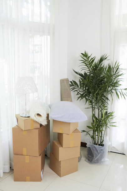 Stack of carton boxes with stuff and flowerpot in empty white room of new house - Photo, Image