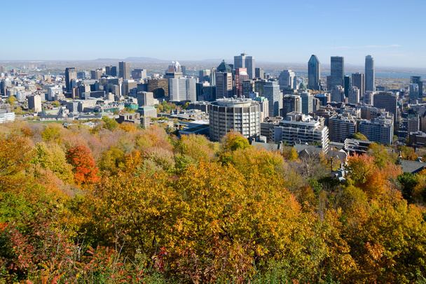 Montreal tijdens fall gebladerte - Foto, afbeelding