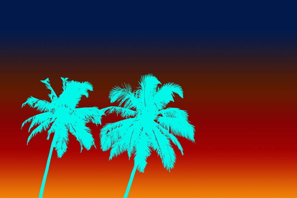 Two aqua color palms and gradient sky - Photo, Image