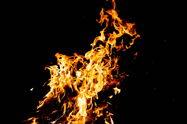 close up view of burning campfire as dark abstract background - Фото, изображение