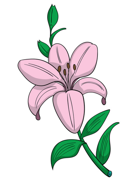 cartoon style Lily  icon of  on white, vector illustration - Вектор, зображення