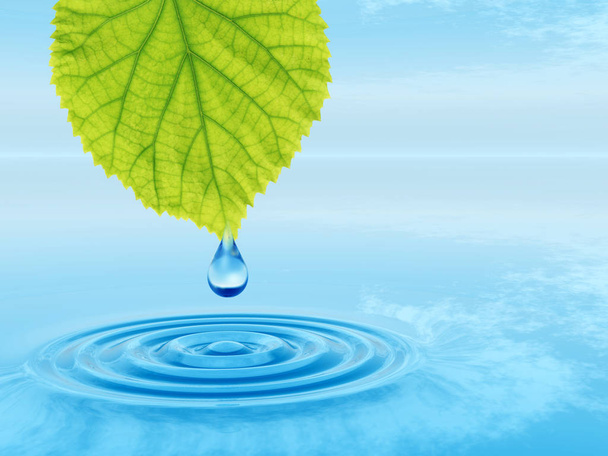 Концепция или концептуальная чистая родниковая вода или капли росы, падающие с зеленого свежего листа на 3D иллюстрации синяя чистая вода делает волны
 - Фото, изображение
