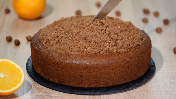 Személy vágás egy barna sütemény egy késsel. - Felvétel, videó