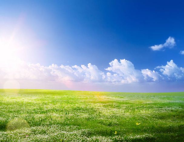 Jarní krajina pozadí; jarní kvetení a modré Slunečné sk - Fotografie, Obrázek