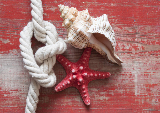 θάλασσα ταξίδι πλαίσιο διακόσμηση με θαλασσινά κοχύλια και σχοινί, πέρα από το ξύλινο υπόβαθρο - Φωτογραφία, εικόνα