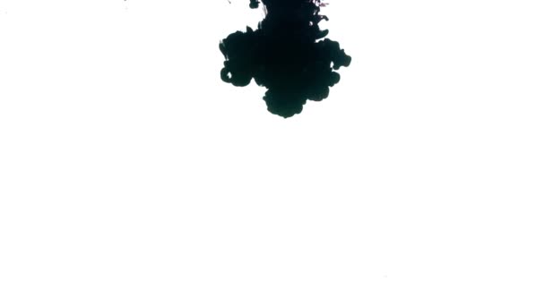 Inchiostro nero su sfondo bianco - Filmati, video