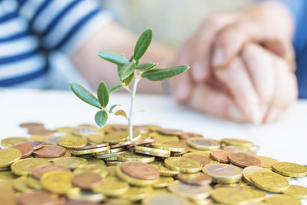 gepensioneerden handen met geld groeit met plant-, spaar- en pensioen - Foto, afbeelding