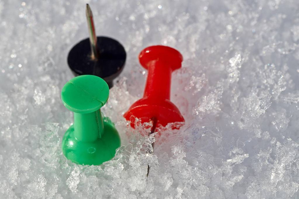 Punaise in de kleuren rood, zwart en groen geïsoleerd op een achtergrond van sneeuw - Foto, afbeelding
