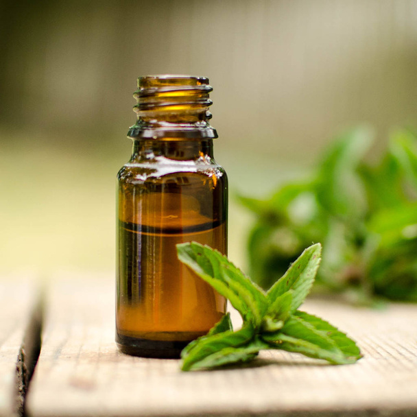 Natural Mint Essential Oil in a Glass Bottle with Fresh Mint Leaves - Photo, Image