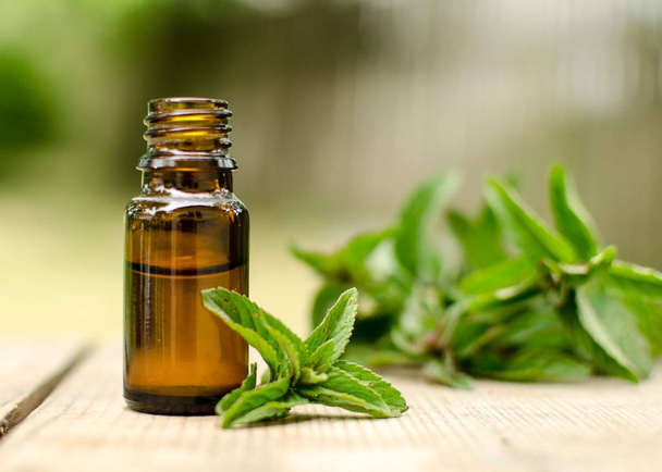 Natural Mint Essential Oil in a Glass Bottle with Fresh Mint Leaves - Photo, Image