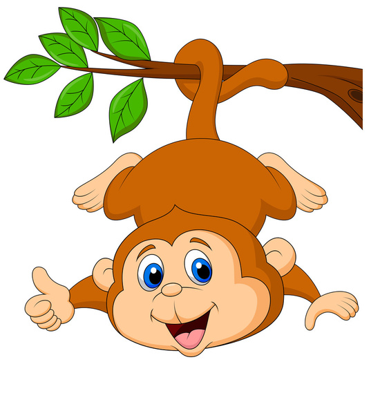 Lindo mono de dibujos animados colgando con el pulgar hacia arriba
 - Vector, imagen