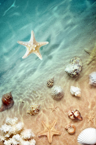 starfish on the summer beach with sand, - Photo, Image