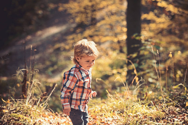 Happy laughing boy walking down beautiful road between colorful yellow autumn trees - Фото, зображення