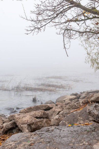 The shore of the cold river autumn on a foggy day - Foto, Imagen