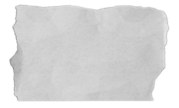 Roztrhaný papír izolované na jednoduché pozadí  - Fotografie, Obrázek
