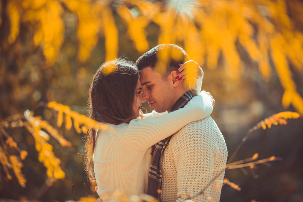 現代のカップルは屋外公園、彼らはキスをしようとしながら一緒に素晴らしい時間を過ごしています。 - 写真・画像