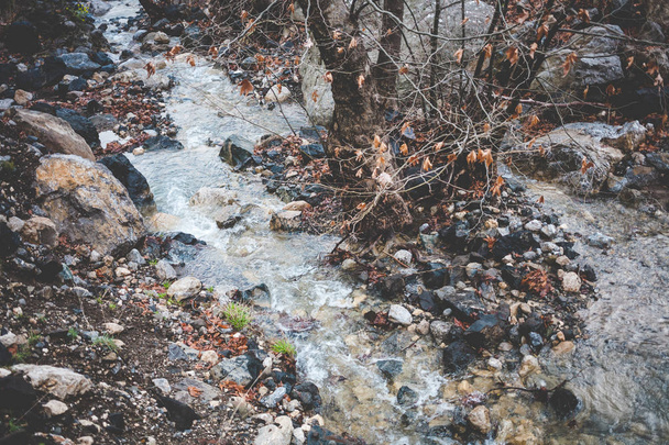 Cours d'eau dans les montagnes. Grandes pierres sur les rives d'une rivière de montagne. L'écoulement de l'eau. Mouiller de petits cailloux
. - Photo, image