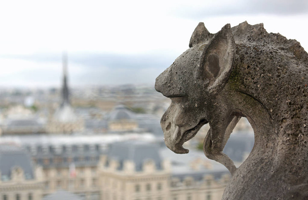 çirkin yaratık dili kilise Notre Dame Francia bir Parigi gösterir - Fotoğraf, Görsel